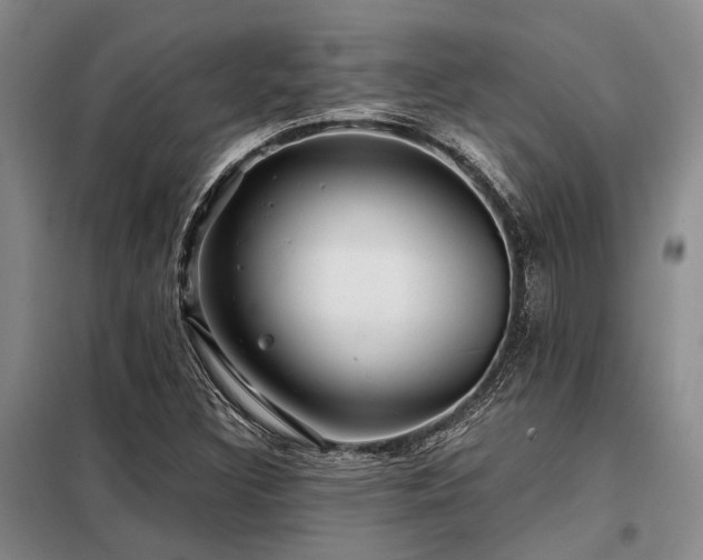 X0000098151308200804171603