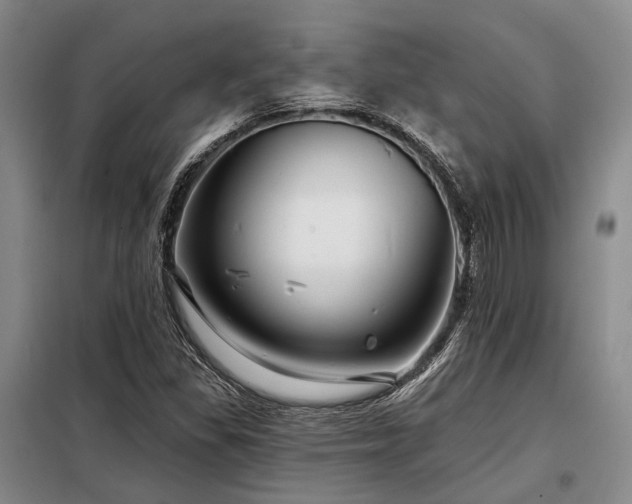 X0000098151309200804171603