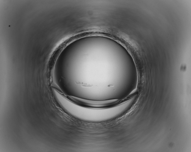 X0000098151310200804171603