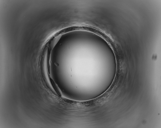 X0000098151311200804171603