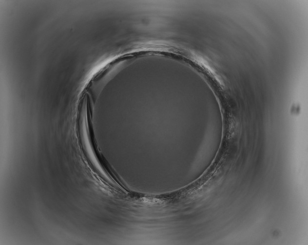 X0000098151312200804171603
