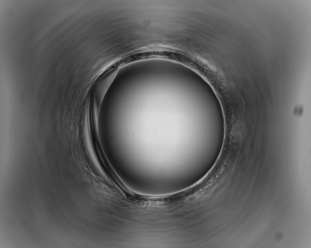 X0000098151313200804171603