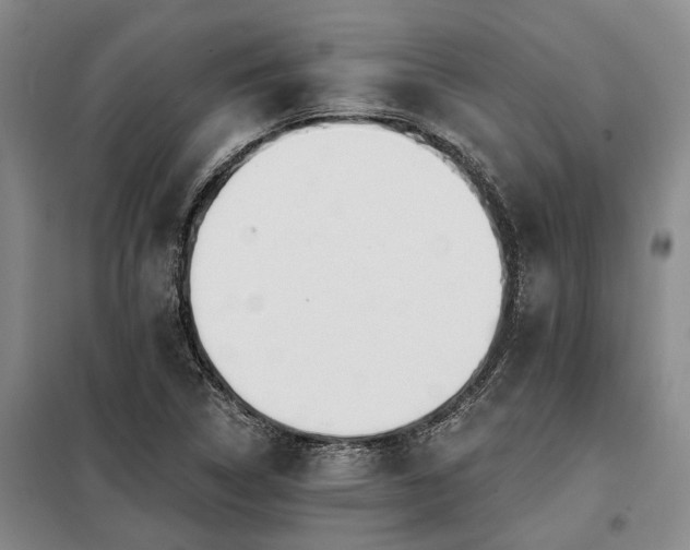 X0000098151314200804171603