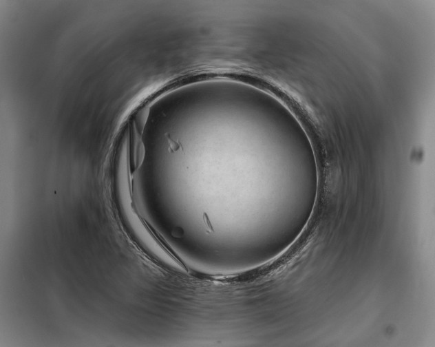 X0000098151317200804171603