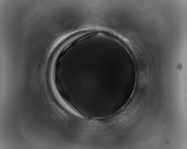 X0000098151319200804171603
