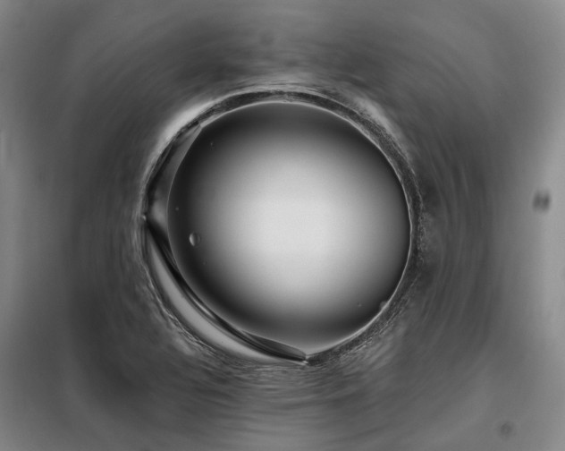 X0000098151320200804171603