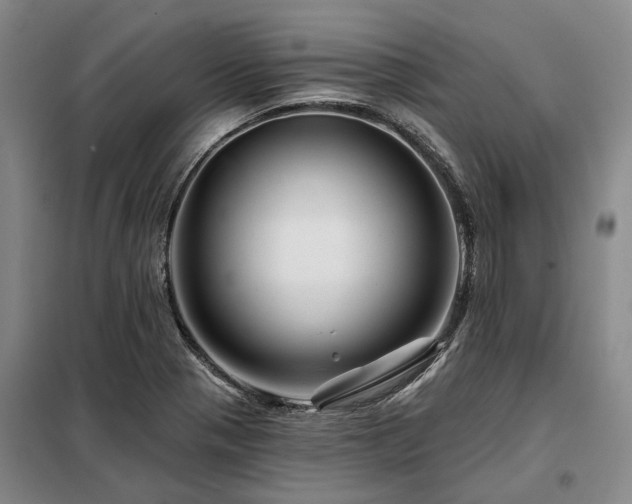 X0000098151321200804171603