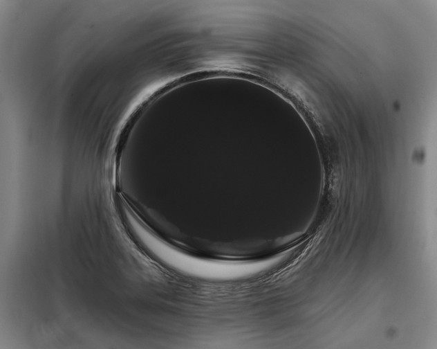X0000098151323200804171603
