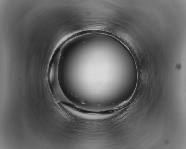 X0000098151324200804171603
