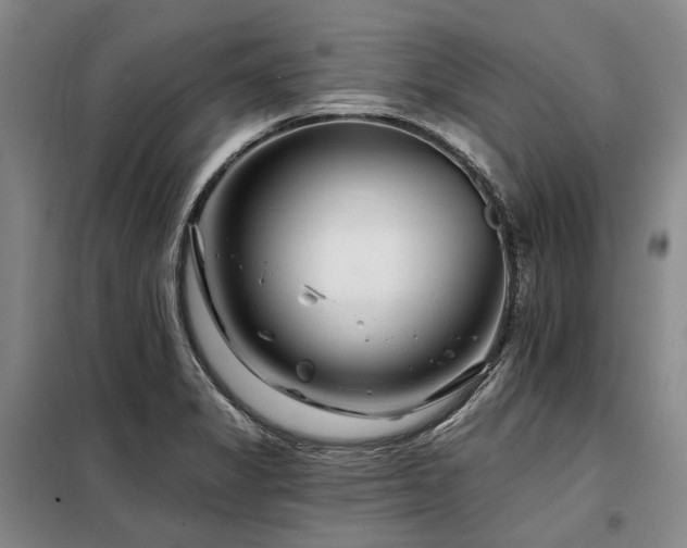 X0000098151325200804171603