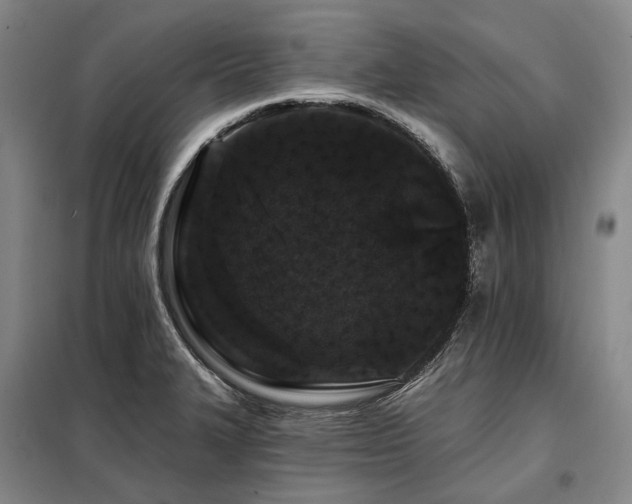 X0000098151327200804171603