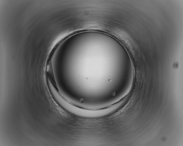 X0000098151328200804171603