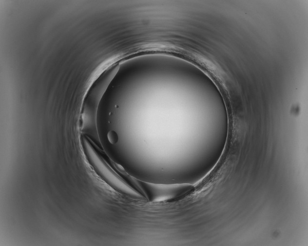 X0000098151330200804171603