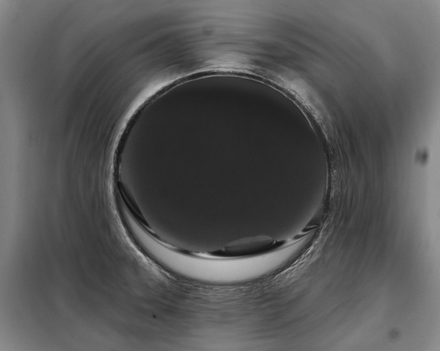 X0000098151331200804171603