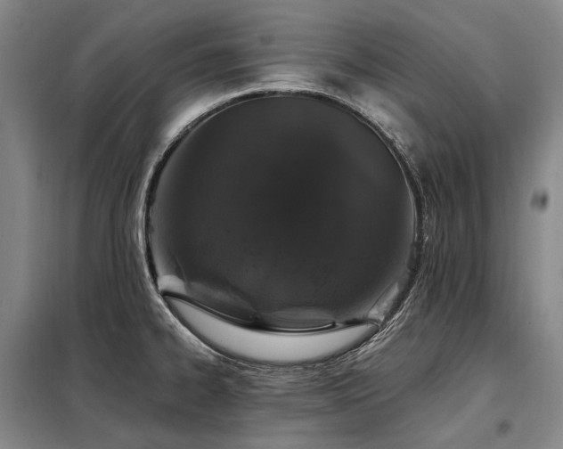 X0000098151334200804171603
