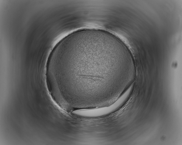 X0000098151335200804171603
