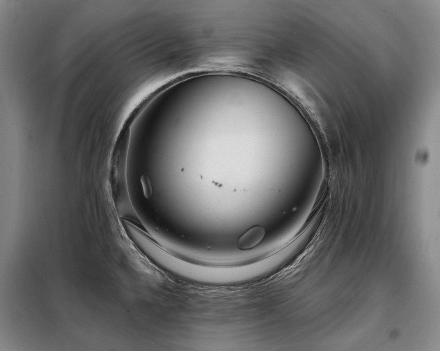 X0000098151336200804171603