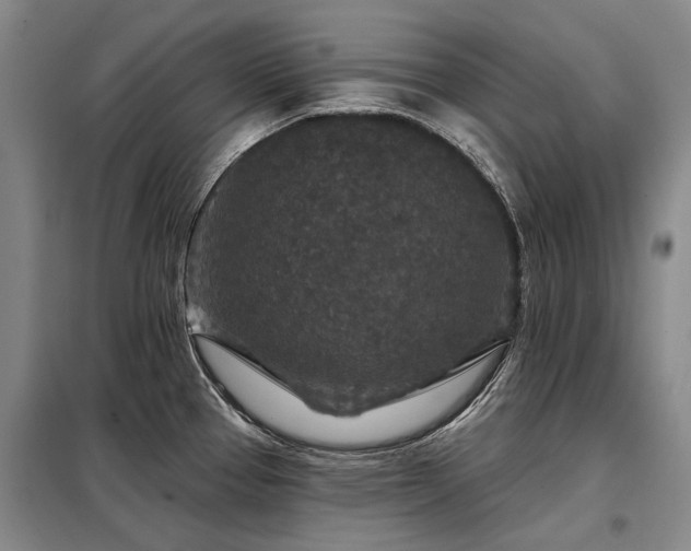 X0000098151337200804171603