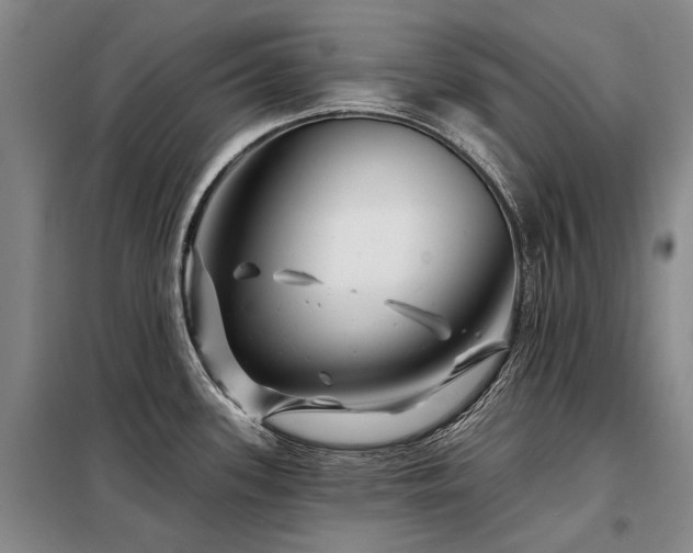 X0000098151339200804171603