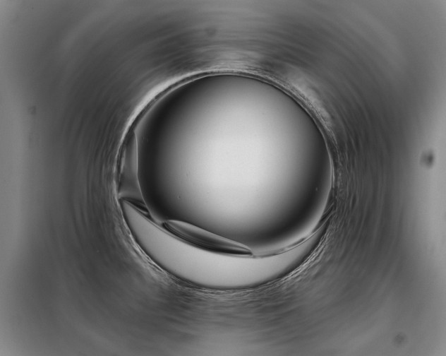 X0000098151340200804171603
