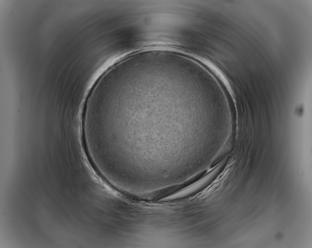 X0000098151341200804171603