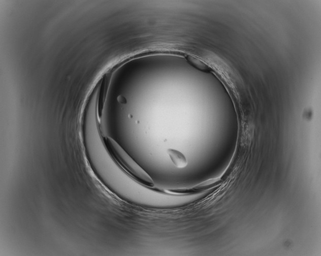 X0000098151342200804171603