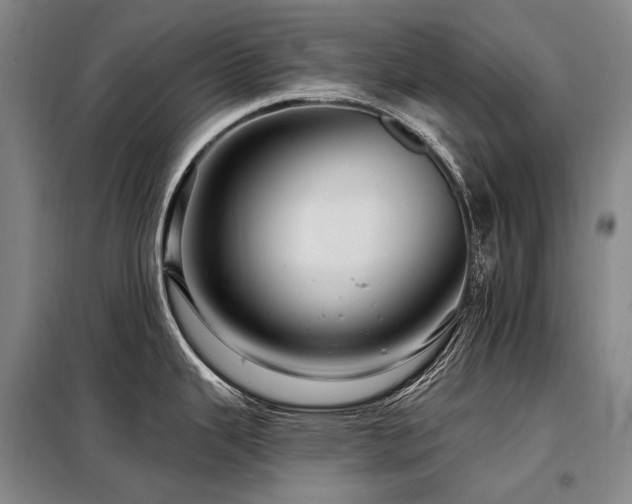 X0000098151343200804171603