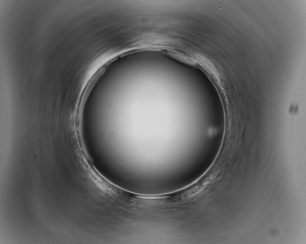 X0000098151344200804171603