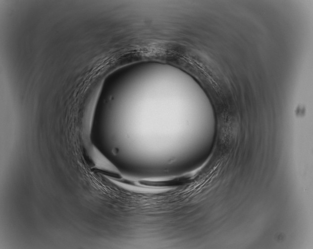 X0000098151345200804171602