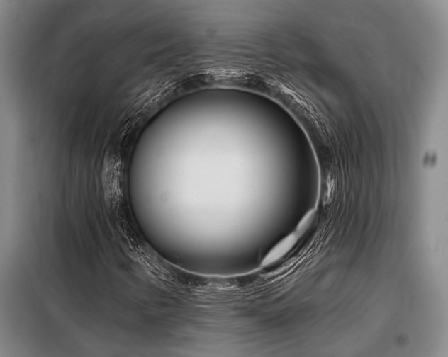 X0000098151346200804171602