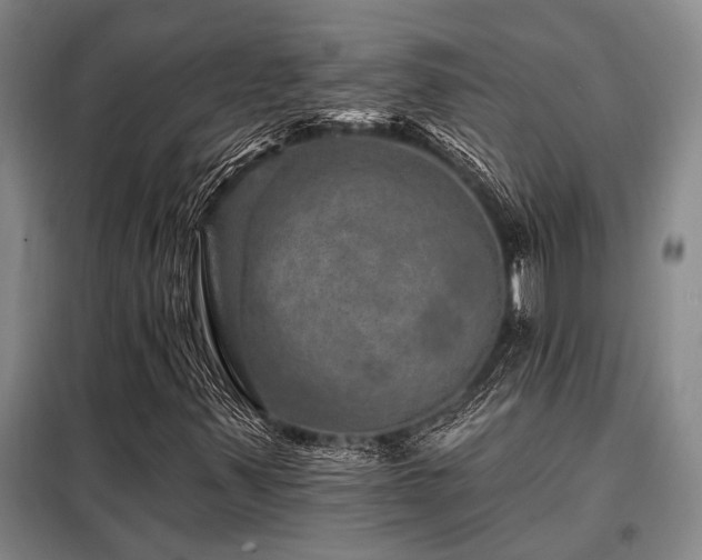 X0000098151347200804171602