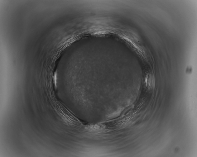 X0000098151348200804171602