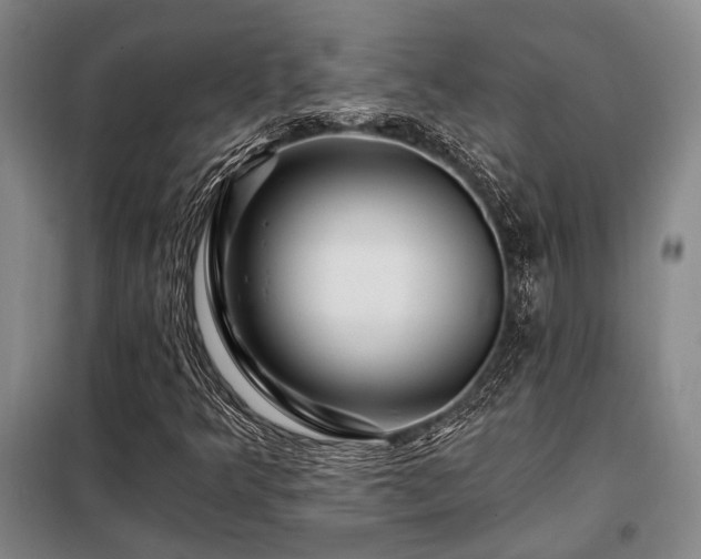 X0000098151349200804171602