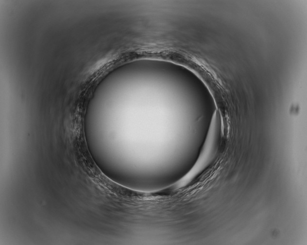 X0000098151350200804171602