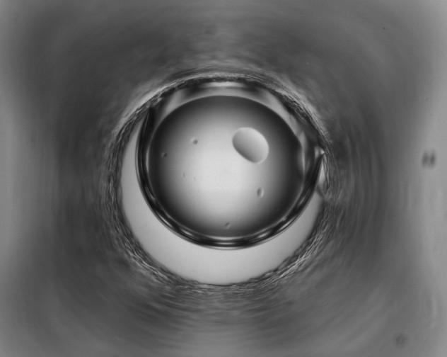 X0000098151352200804171602