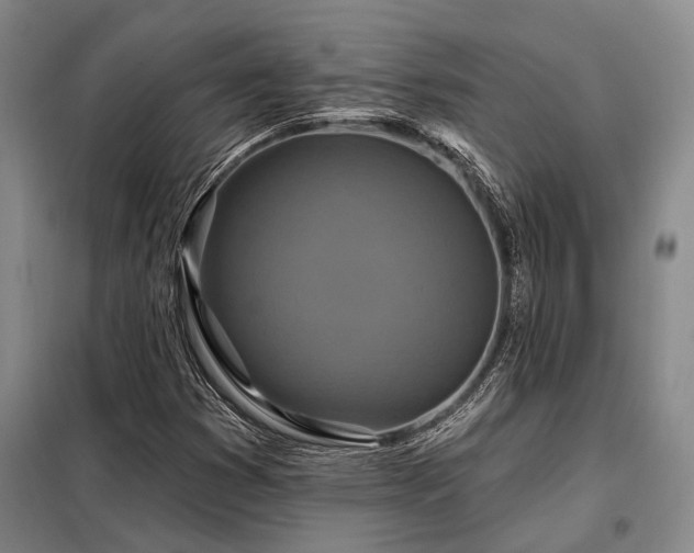 X0000098151353200804171602