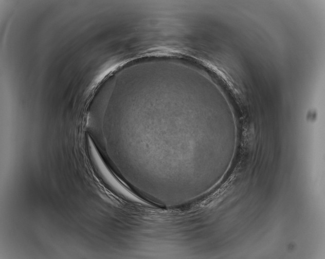 X0000098151355200804171602