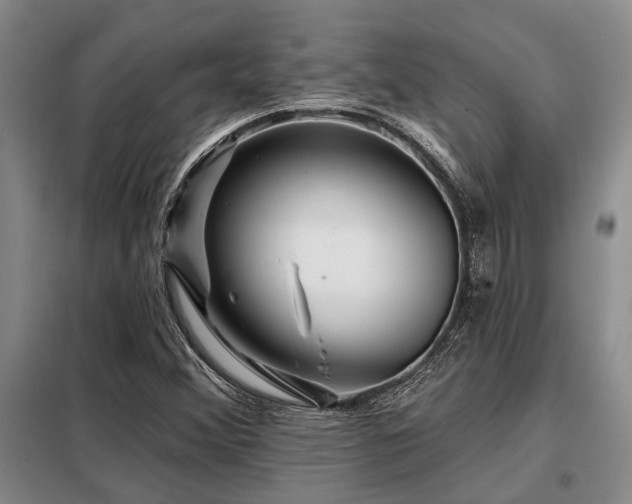 X0000098151356200804171602