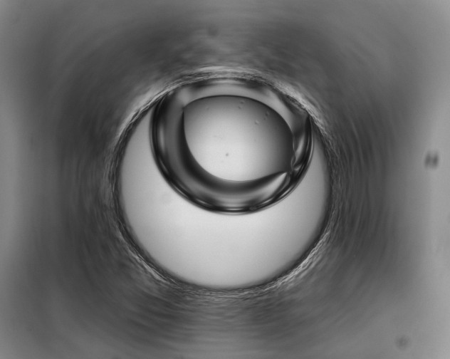 X0000098151357200804171602