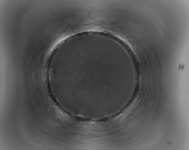 X0000098151359200804171602