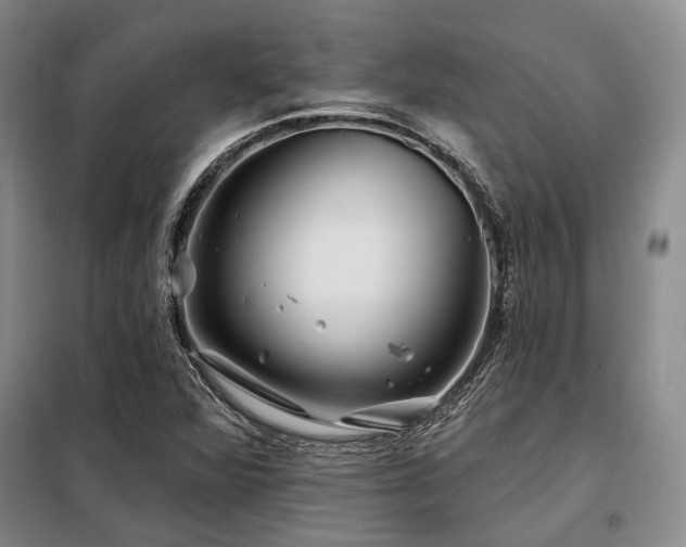 X0000098151360200804171602