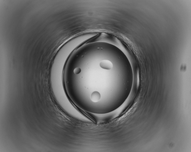 X0000098151361200804171602
