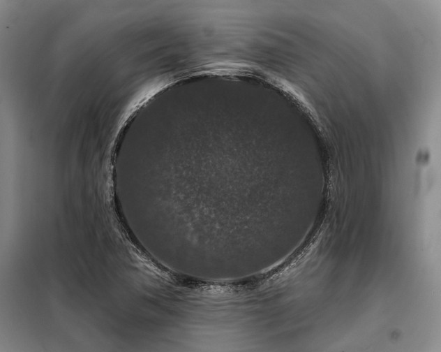 X0000098151362200804171602