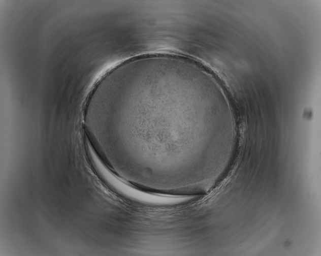 X0000098151363200804171602