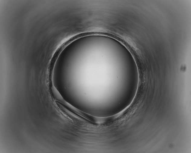 X0000098151364200804171602