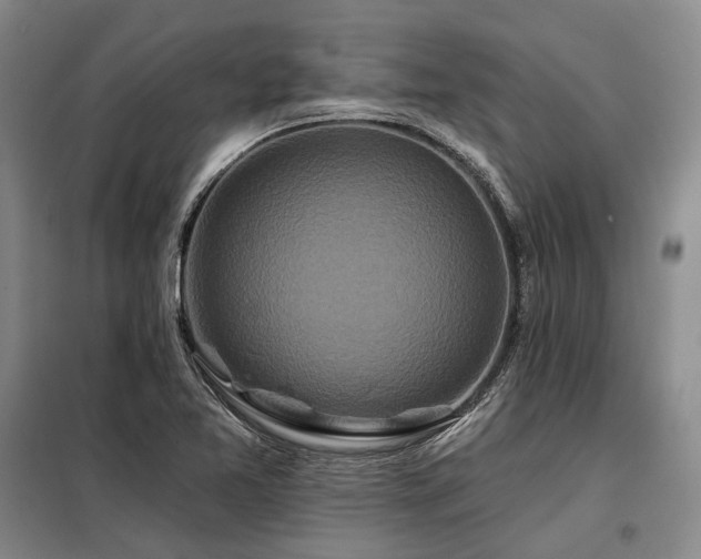X0000098151365200804171602