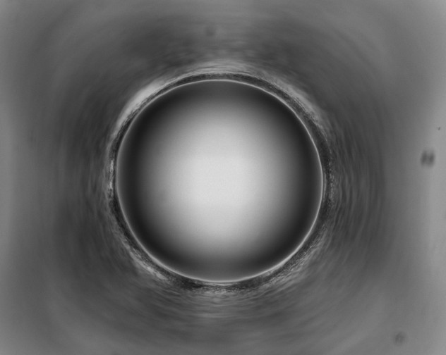 X0000098151366200804171602