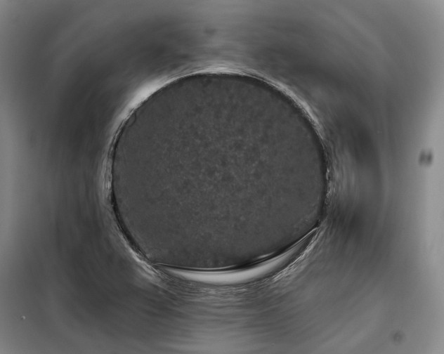 X0000098151367200804171602