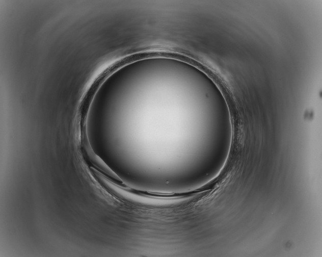 X0000098151368200804171602