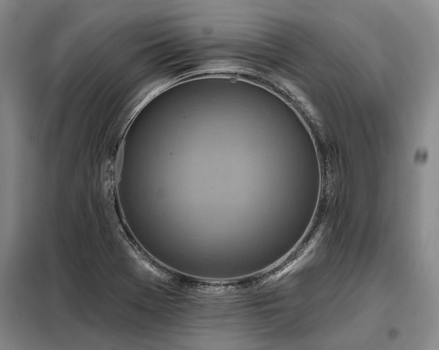 X0000098151369200804171602